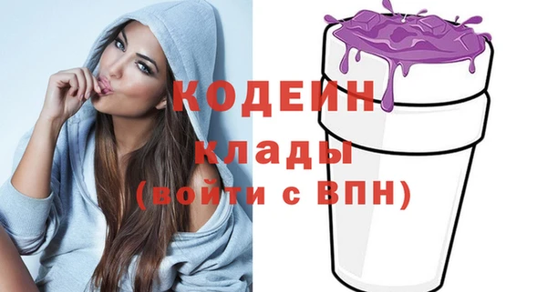 мдпв Горнозаводск