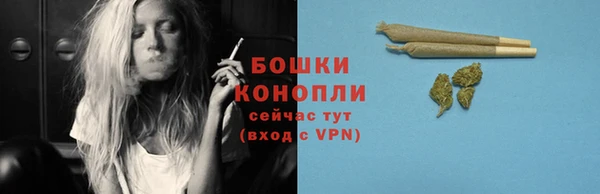 мдпв Горнозаводск